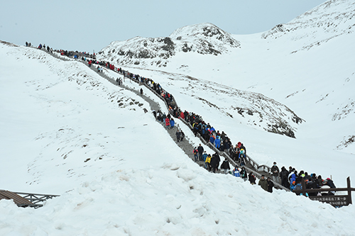 公司西景區各部門迎戰“五一”假期旅游高峰